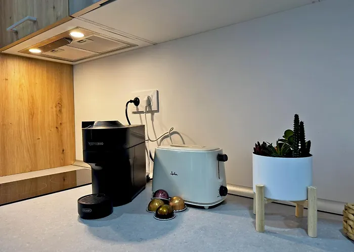 Clavel - Ole Solutions Jerez de la Frontera