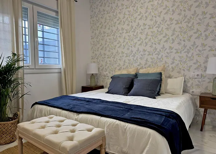 Clavel - Ole Solutions