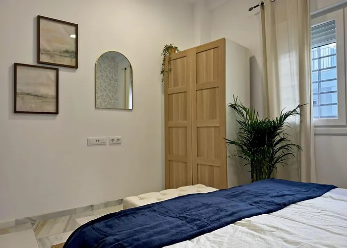 Clavel - Ole Solutions Jerez de la Frontera