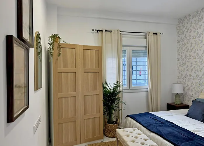 Clavel - Ole Solutions * Jerez de la Frontera