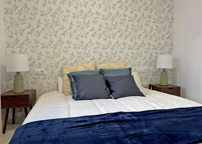 Clavel - Ole Solutions