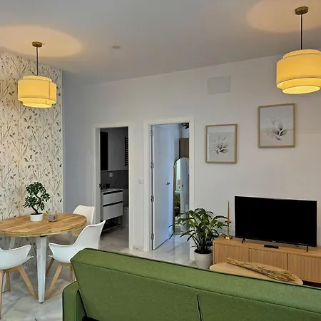 Clavel - Ole Solutions Jerez de la Frontera