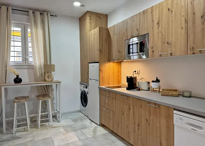 Clavel - Ole Solutions Jerez de la Frontera